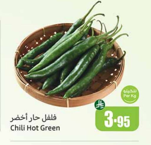 Chilli / Capsicum available at Othaim Markets in KSA, Saudi Arabia, Saudi - Mecca