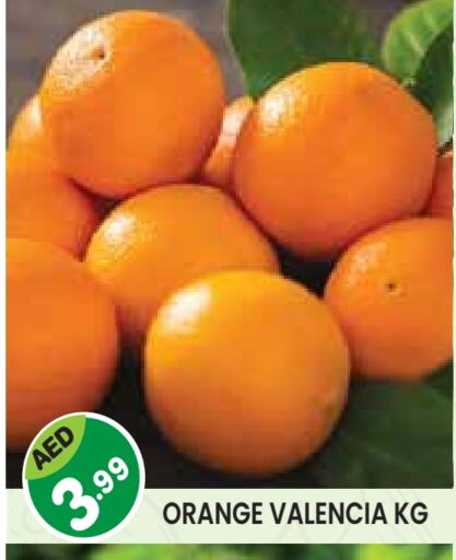 Orange available at Baniyas Spike  in UAE - Abu Dhabi