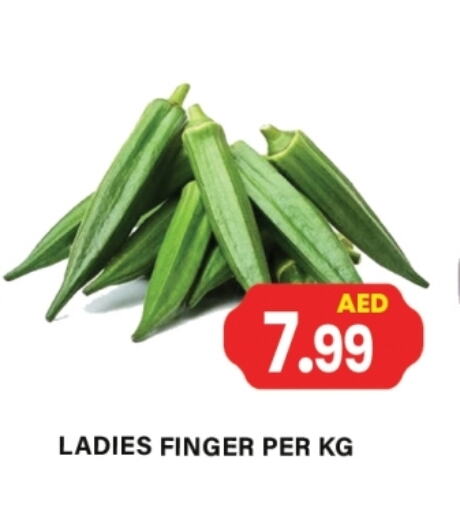 Fresh Vegetables in Gulf Hypermarket LLC, UAE Offers - United Arab Emirates available at Gulf Hypermarket LLC in UAE - Ras al Khaimah