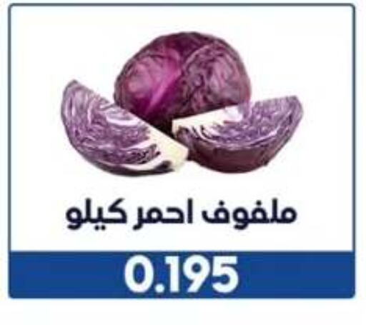 Cabbage available at Wafra Co-operative Society in Kuwait - Ahmadi Governorate