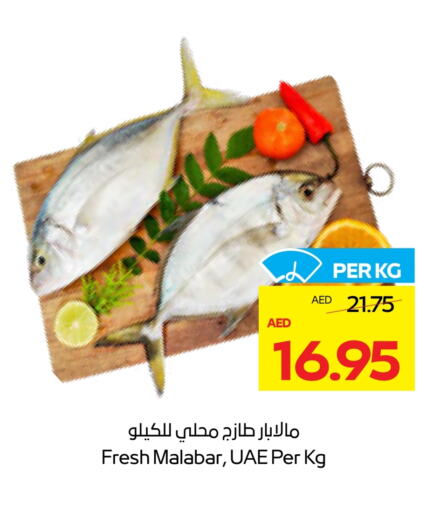 available at ADCOOP in UAE - Al Ain