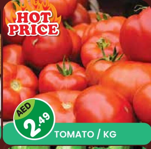 Fresh Vegetables in Baniyas Spike , UAE Offers - United Arab Emirates Tomato available at Baniyas Spike in UAE - Sharjah / Ajman
