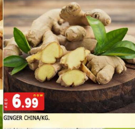 زنجبيل from China available at المدينة in الإمارات العربية المتحدة , الامارات - الشارقة / عجمان