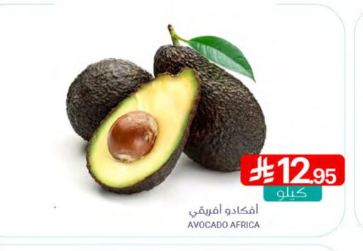 فاكهة طازجة in اسواق المنتزه, المملكة العربية السعودية Offers - المملكة العربية السعودية أفوكادو available at اسواق المنتزه in مملكة العربية السعودية, السعودية, سعودية - سيهات