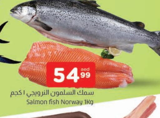 available at AL MADINA in UAE - Sharjah / Ajman