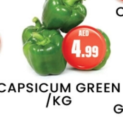 Chilli / Capsicum available at Zain Mart Supermarket in UAE - Ras al Khaimah