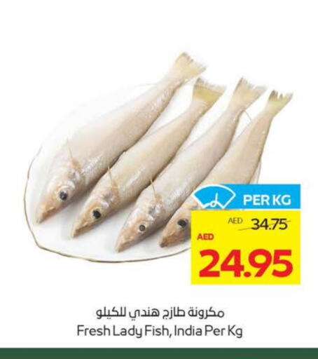 available at ميغا مارت سوبر ماركت in الإمارات العربية المتحدة , الامارات - ٱلْعَيْن‎