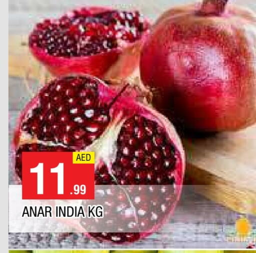 رمان from India available at المدينة in الإمارات العربية المتحدة , الامارات - الشارقة / عجمان