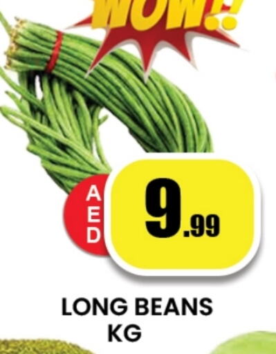 Beans available at Zain Mart Supermarket in UAE - Ras al Khaimah