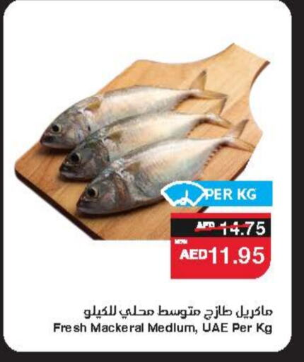 Fresh Fish in SPAR Hyper Market , UAE Offers - United Arab Emirates available at SPAR Hyper Market in UAE - Ras al Khaimah