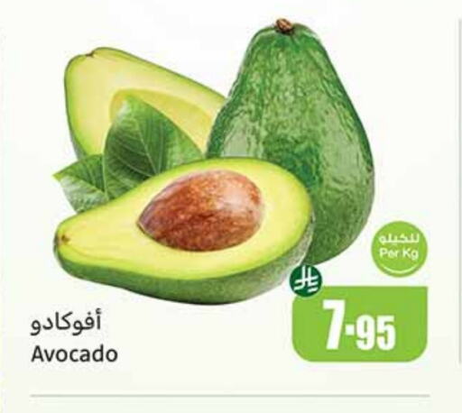 Avacado available at Othaim Markets in KSA, Saudi Arabia, Saudi - Medina