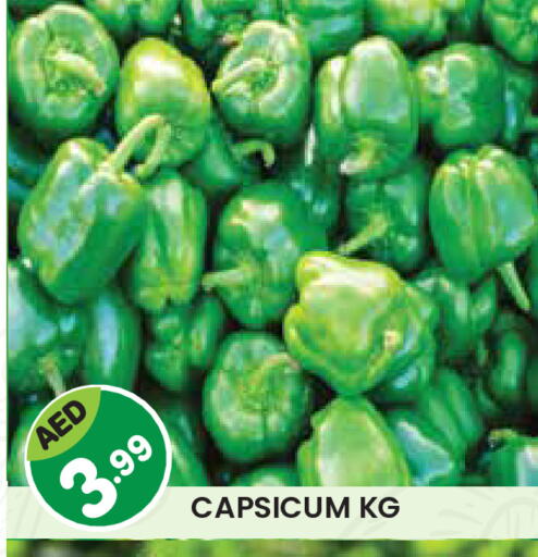 Chilli / Capsicum available at Baniyas Spike  in UAE - Abu Dhabi