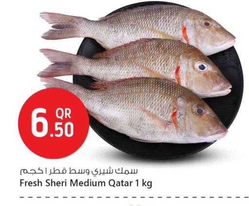 Fresh Fish in Safari Hypermarket, Qatar Offers - Qatar available at Safari Hypermarket in Qatar - Al Rayyan