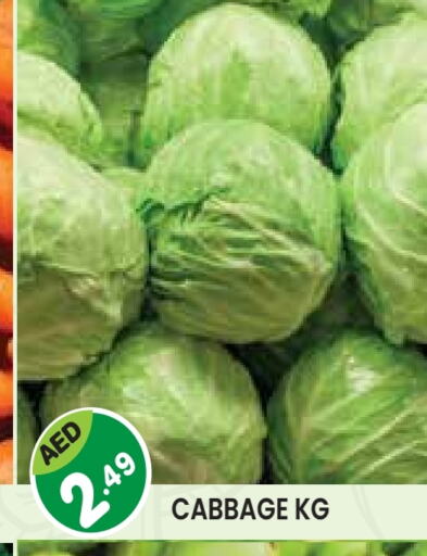 Cabbage available at Baniyas Spike  in UAE - Abu Dhabi