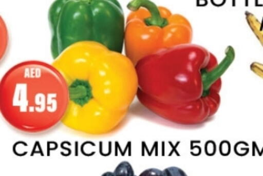 Chilli / Capsicum available at Zain Mart Supermarket in UAE - Ras al Khaimah