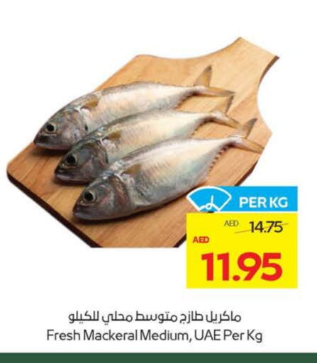 الأسماك الطازجة in ميغا مارت سوبر ماركت, UAE Offers - الإمارات العربية المتحدة available at ميغا مارت سوبر ماركت in الإمارات العربية المتحدة , الامارات - ٱلْعَيْن