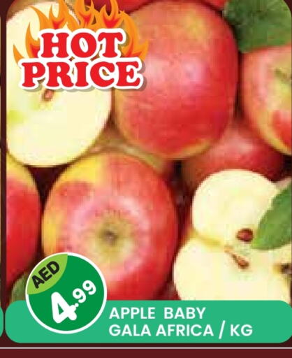 تفاح available at سنابل بني ياس in الإمارات العربية المتحدة , الامارات - أم القيوين‎