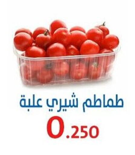 Tomato available at Al Sha'ab Co-op Society in Kuwait - Kuwait City