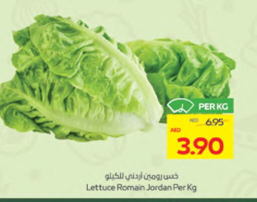 Lettuce available at ADCOOP in UAE - Al Ain
