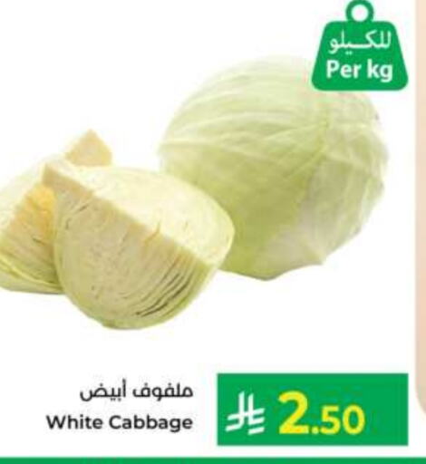 Cabbage available at Kabayan Hypermarket in KSA, Saudi Arabia, Saudi - Jeddah