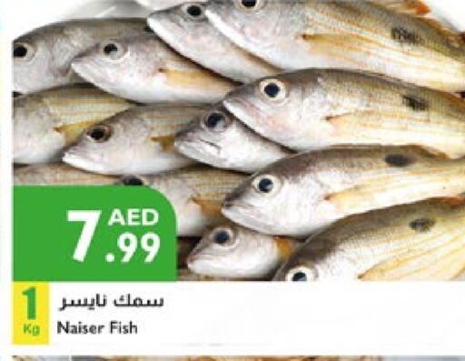 available at إسطنبول سوبرماركت in الإمارات العربية المتحدة , الامارات - رَأْس ٱلْخَيْمَة