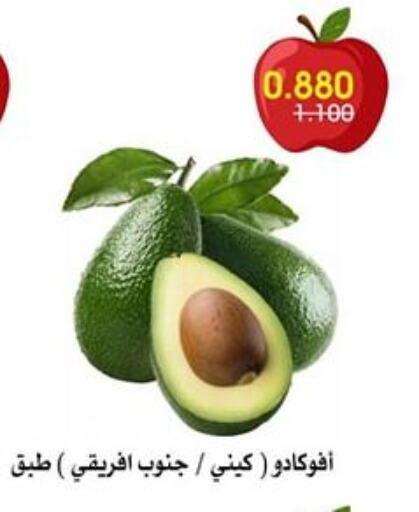أفوكادو available at جمعية الروضة وحولي التعاونية in الكويت - مدينة الكويت