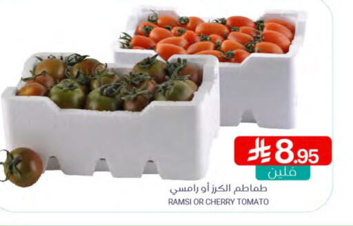 Tomato available at Muntazah Markets in KSA, Saudi Arabia, Saudi - Qatif