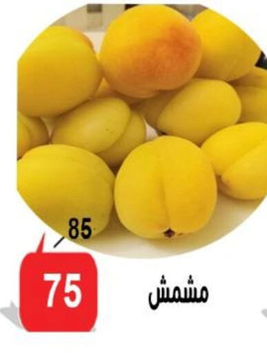 available at Aldoneia Bkheir ismailia  in Egypt - Cairo