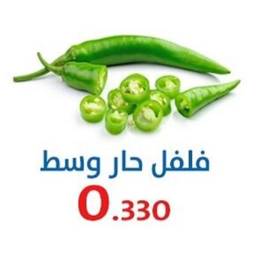 Fresh Vegetables in Al Sha'ab Co-op Society, Kuwait Offers - Kuwait Chilli / Capsicum available at Al Sha'ab Co-op Society in Kuwait - Kuwait City