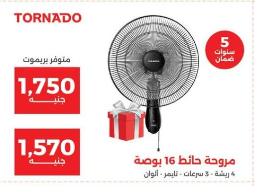 Small Appliances in Raneen, Egypt Offers - Egypt TORNADO Fan available at Raneen in Egypt - Cairo