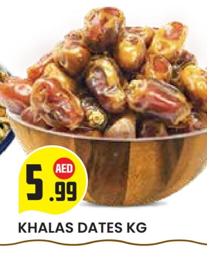 available at سنابل بني ياس in الإمارات العربية المتحدة , الامارات - ٱلْعَيْن‎