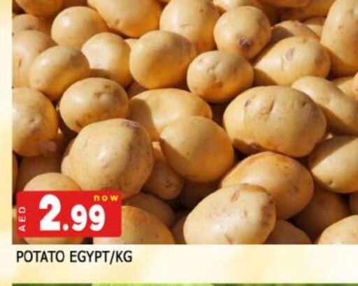 Potato from Egypt available at AL MADINA in UAE - Sharjah / Ajman