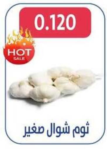 Garlic available at Al Jahra Cooperative Society in Kuwait - Jahra Governorate