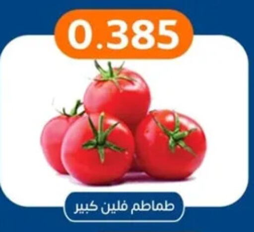 Tomato available at Eshbelia Co-operative Society in Kuwait - Kuwait City