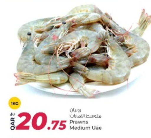 Fresh Fish in Rawabi Hypermarket, Qatar Offers - Qatar available at Rawabi Hypermarket in Qatar - Al Shamal
