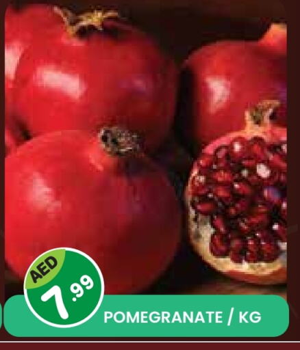 رمان available at سنابل بني ياس in الإمارات العربية المتحدة , الامارات - الشارقة / عجمان