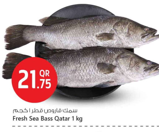 Fresh Fish in Safari Hypermarket, Qatar Offers - Qatar available at Safari Hypermarket in Qatar - Al Rayyan