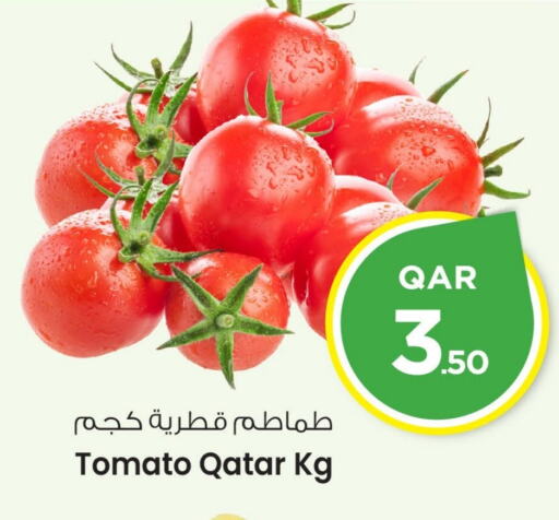 Tomato available at Mark & Save  in Qatar - Al-Shahaniya