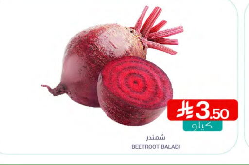 شمندر available at اسواق المنتزه in مملكة العربية السعودية, السعودية, سعودية - القطيف‎