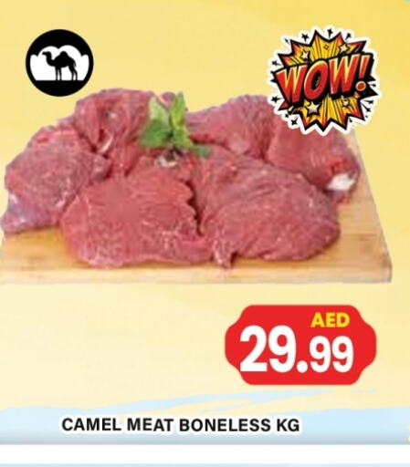 لحم حاشي available at جلف هايبرماركت ذ.م.م in الإمارات العربية المتحدة , الامارات - رَأْس ٱلْخَيْمَة