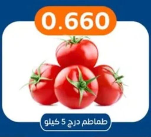 Tomato available at Eshbelia Co-operative Society in Kuwait - Kuwait City