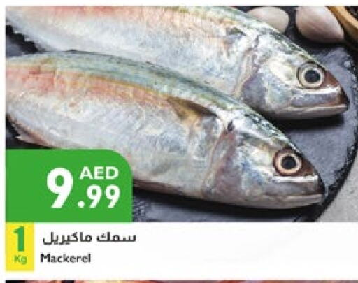 available at Istanbul Supermarket in UAE - Ras al Khaimah