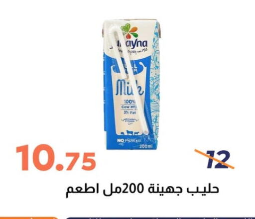 available at Ghallab Market in Egypt - Cairo