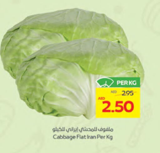 Cabbage available at ADCOOP in UAE - Al Ain