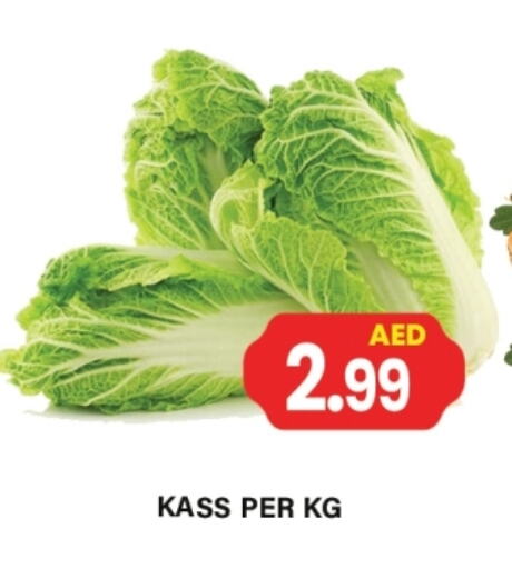 Fresh Vegetables in Gulf Hypermarket LLC, UAE Offers - United Arab Emirates available at Gulf Hypermarket LLC in UAE - Ras al Khaimah
