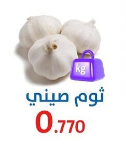 Fresh Vegetables in Al Sha'ab Co-op Society, Kuwait Offers - Kuwait Garlic available at Al Sha'ab Co-op Society in Kuwait - Kuwait City