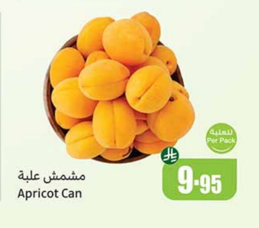 Apricot available at Othaim Markets in KSA, Saudi Arabia, Saudi - Mecca