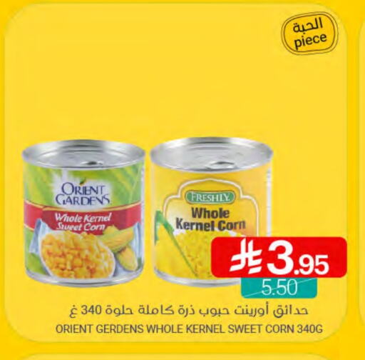 available at Muntazah Markets in KSA, Saudi Arabia, Saudi - Qatif