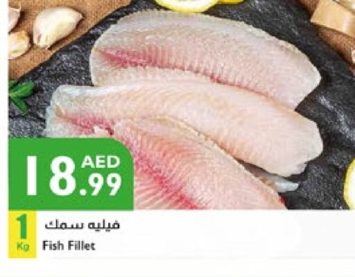 Frozen Fish in Istanbul Supermarket, UAE Offers - United Arab Emirates available at Istanbul Supermarket in UAE - Ras al Khaimah