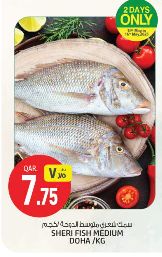 available at Saudia Hypermarket in Qatar - Al Wakra